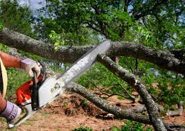 Best Utility Line Clearance  in Royal City, WA