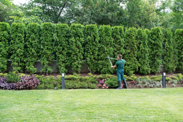 Best Lawn Pest Prevention  in Royal City, WA